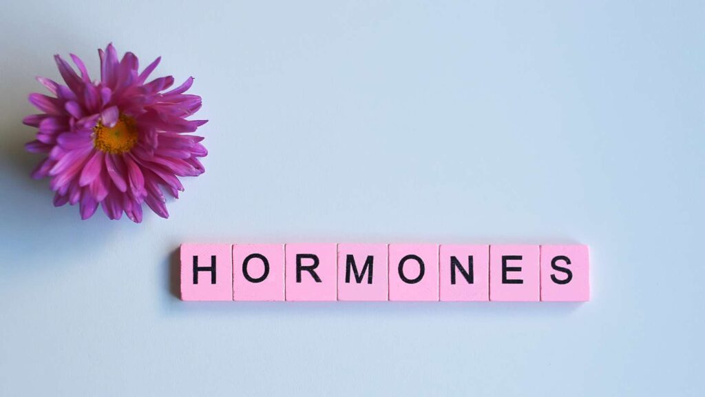 Female Hormones