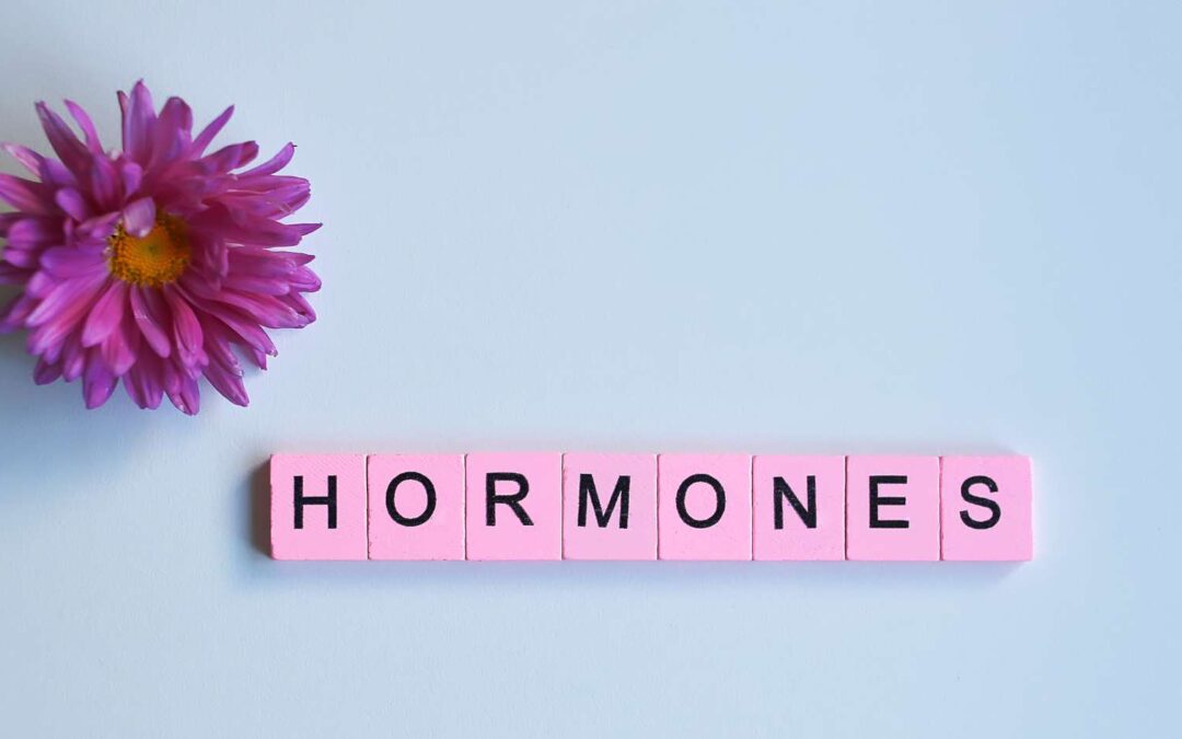 What are female hormones?