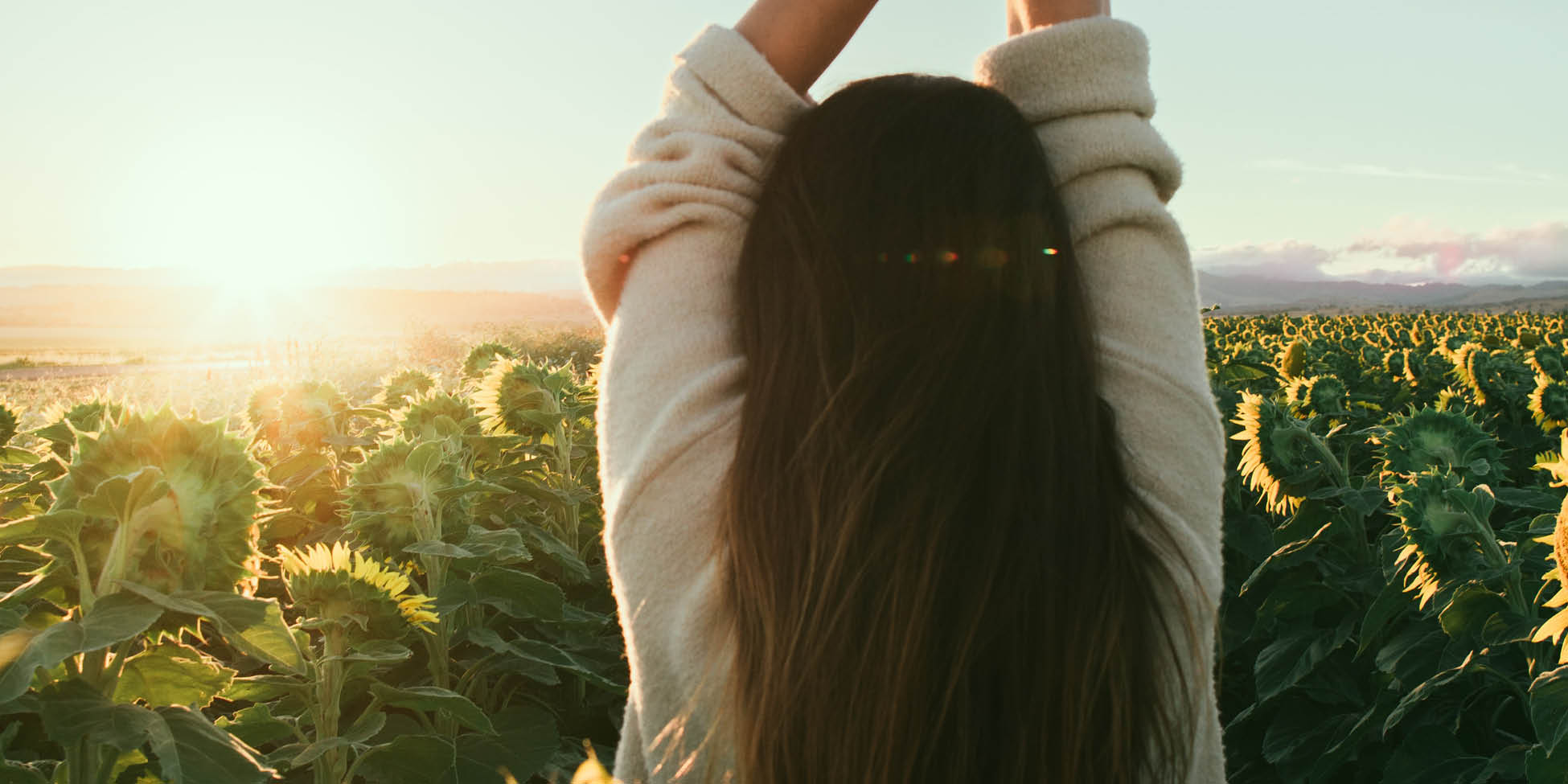 woman stretches arms above head in field of sunflowers